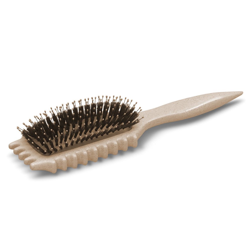 bc_brush_define_3_4view_4685c_1200x_a6854c0c-4aa7-4ecf-be6b-6e13bfba7085_1000x.jpg