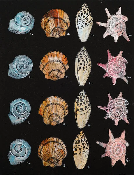 Shells 