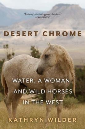 Kathryn Wilder - Desert Chrome.jpg