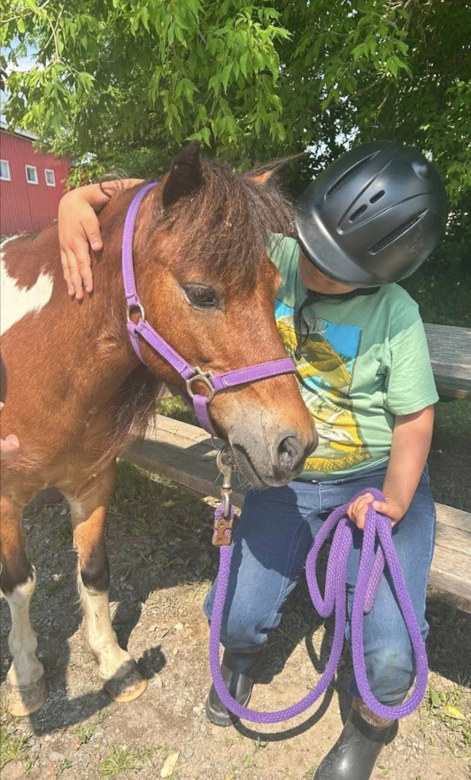 Why Learning Horse Care at Summer Camp Is One of the Most Valuable Experiences for Kids