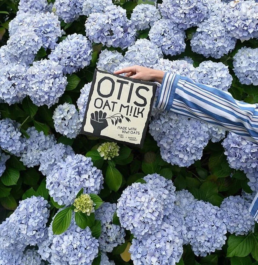 Vegan milks at Love Rosie