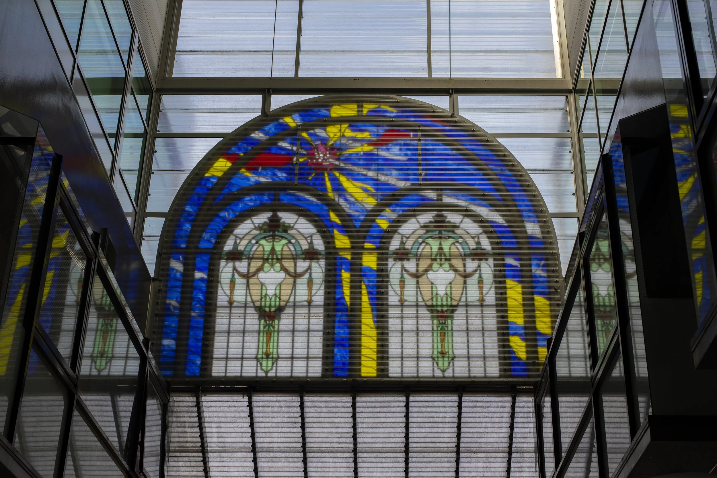 Credit: Anne Shirley