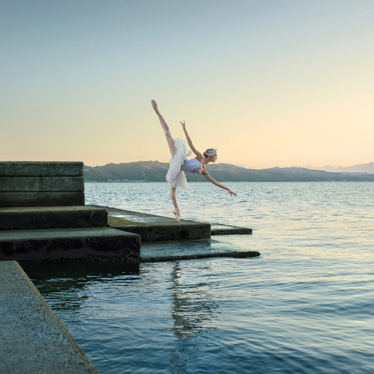 Tutus tour to Tauranga