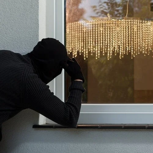 Types of Burglars
