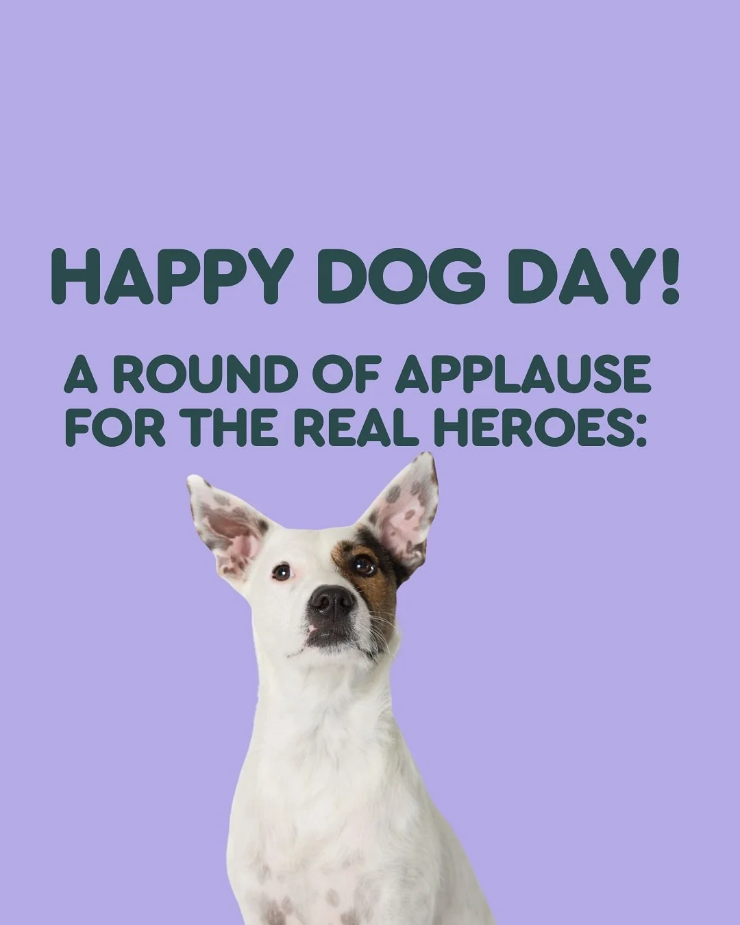 Happy International Dog Day 🐾

Today&rsquo;s roll call of legends:
* The woofers who let us sleep on 2 inches of mattress
* The ones who go &ldquo;what recall?&rdquo; every single time
* The chewers of shoes, chairs and occasionally the Wi-Fi cable
