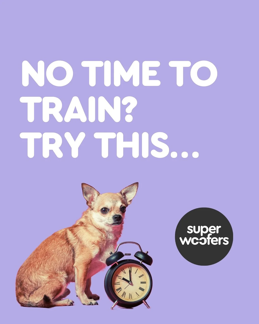 No time to train? Sometimes, that&rsquo;s just real life. 
 Try this instead:
 - Preload food toys = enrichment + peace &amp; quiet. -Reward the everyday good stuff on walks (yes, even NOT chasing that bird). - Have treat stashes around the house so 