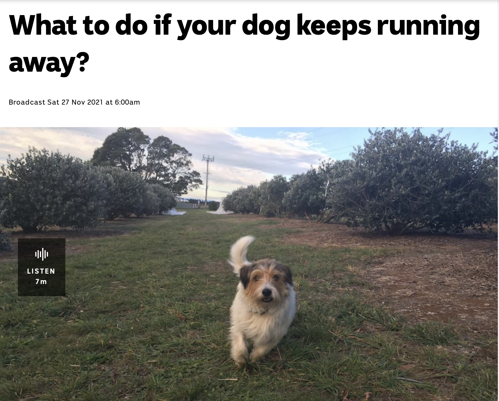 Screenshot 2023-07-28 at 23.24.06.png