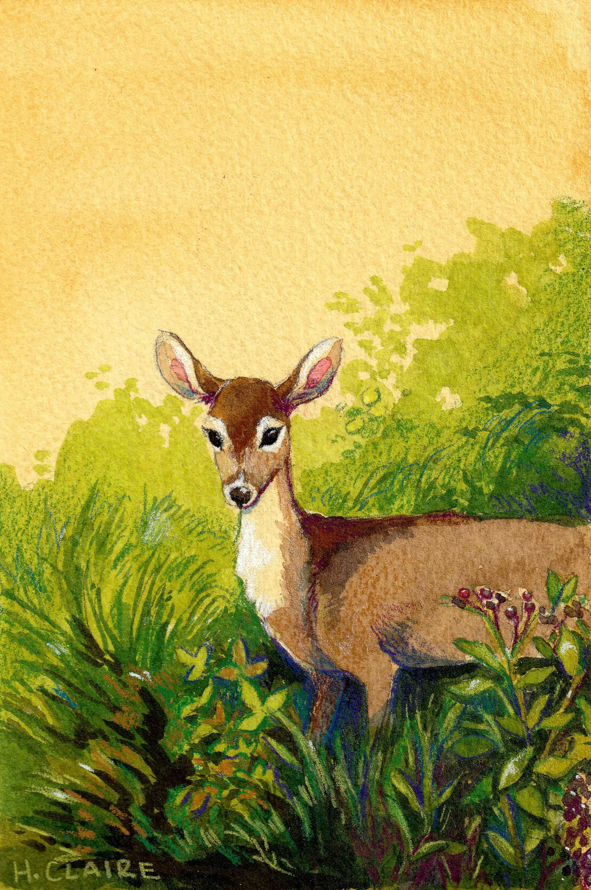 doe in foliage_2026_lowres.jpg