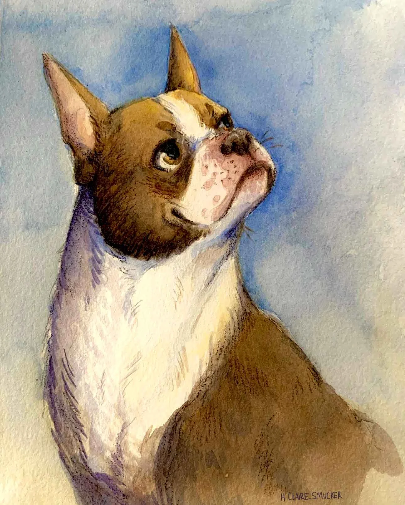 dog portrait_lowres.jpg