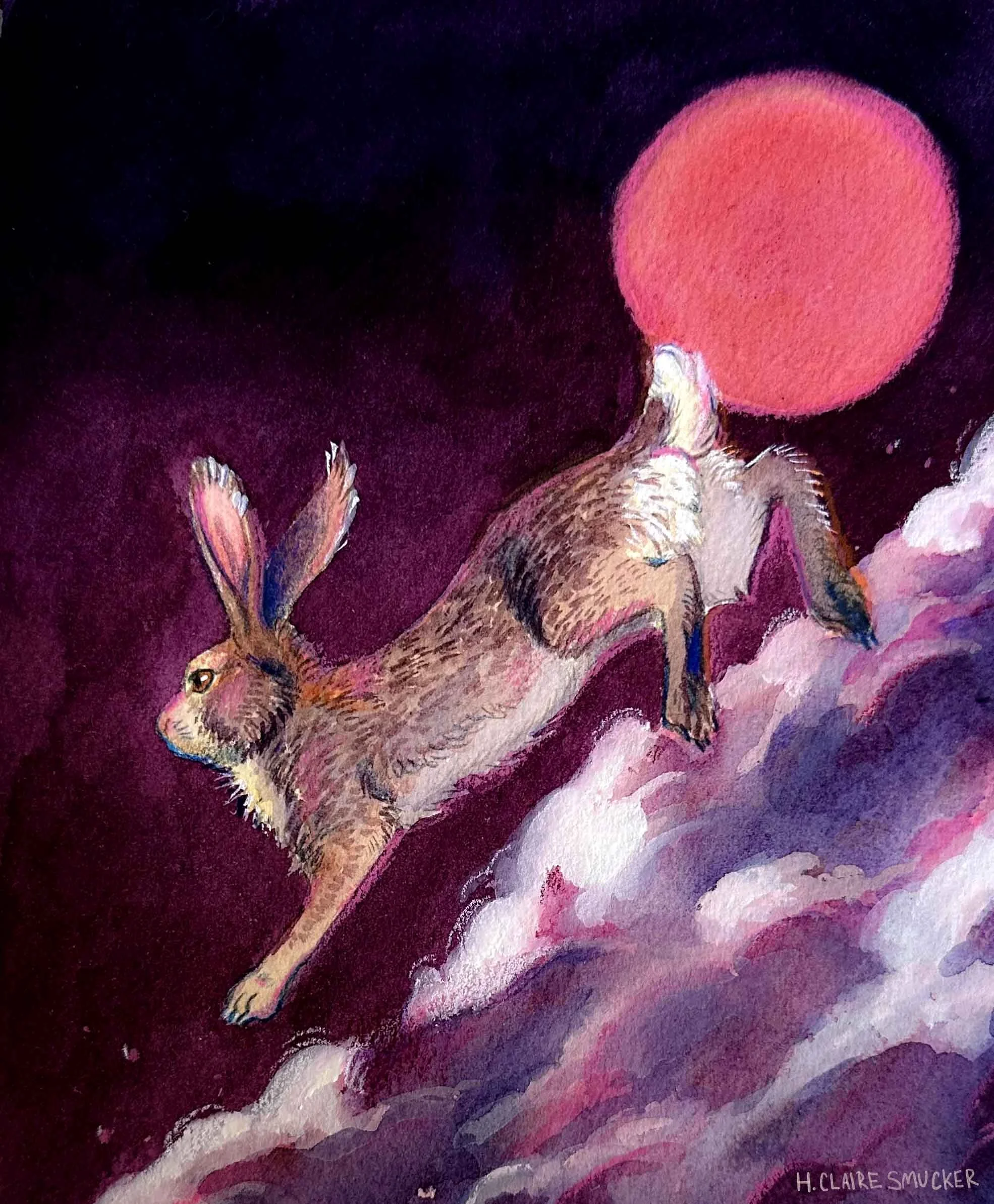 Gina bunny_lowres.jpg
