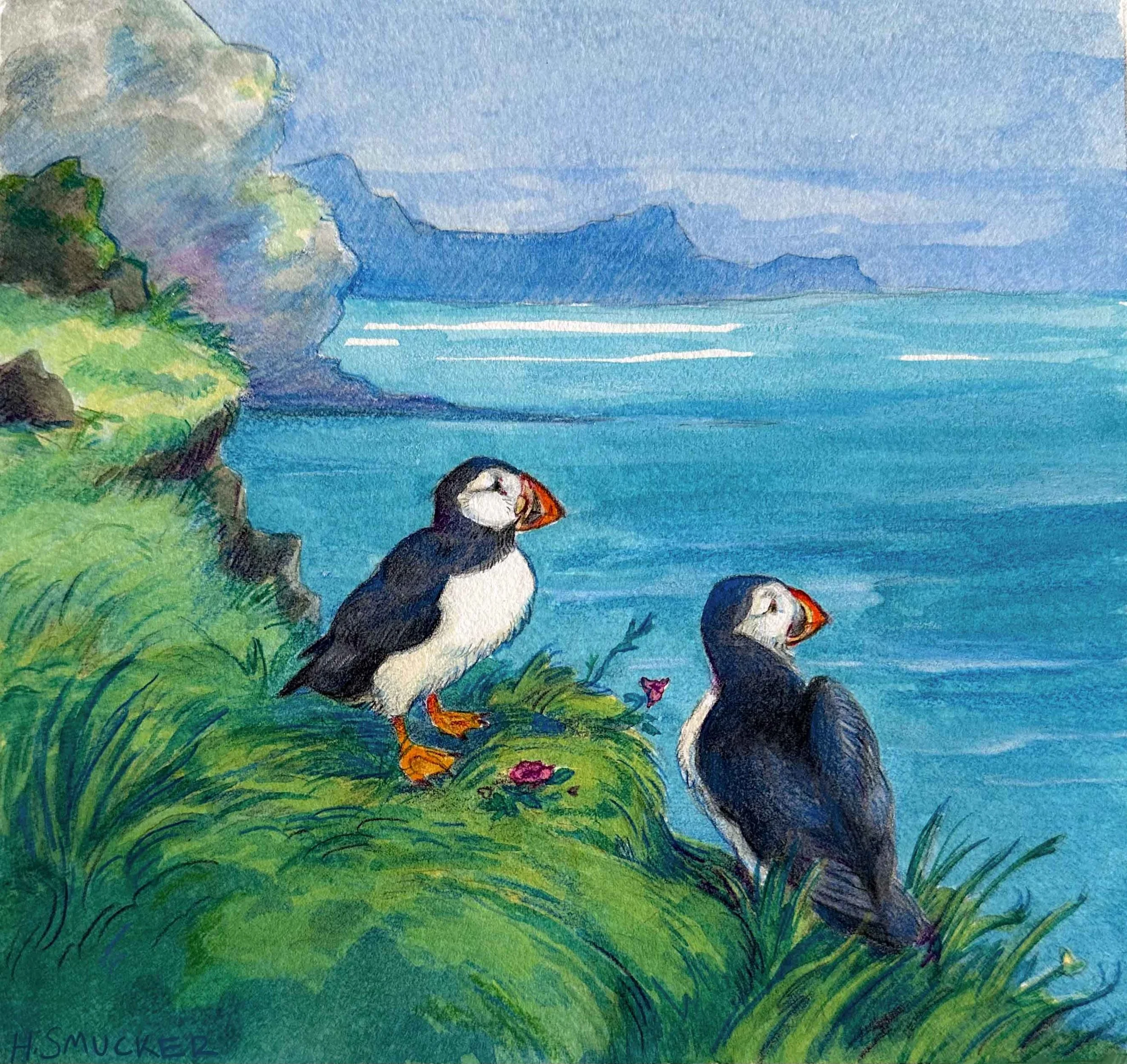 puffins_lowres.jpg