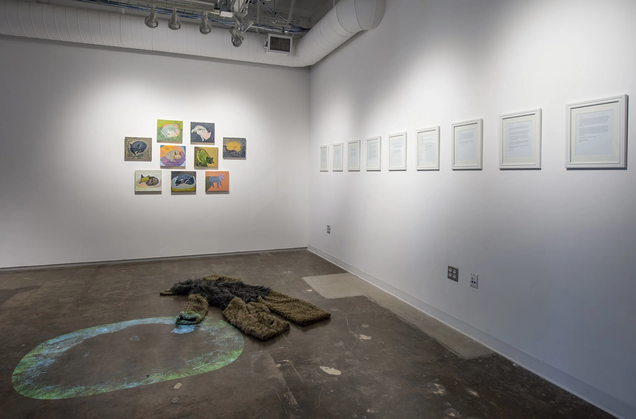 "Every Dog Has Her Day" Installation, 2016, Glass Box Gallery, Santa Barbara, CA
