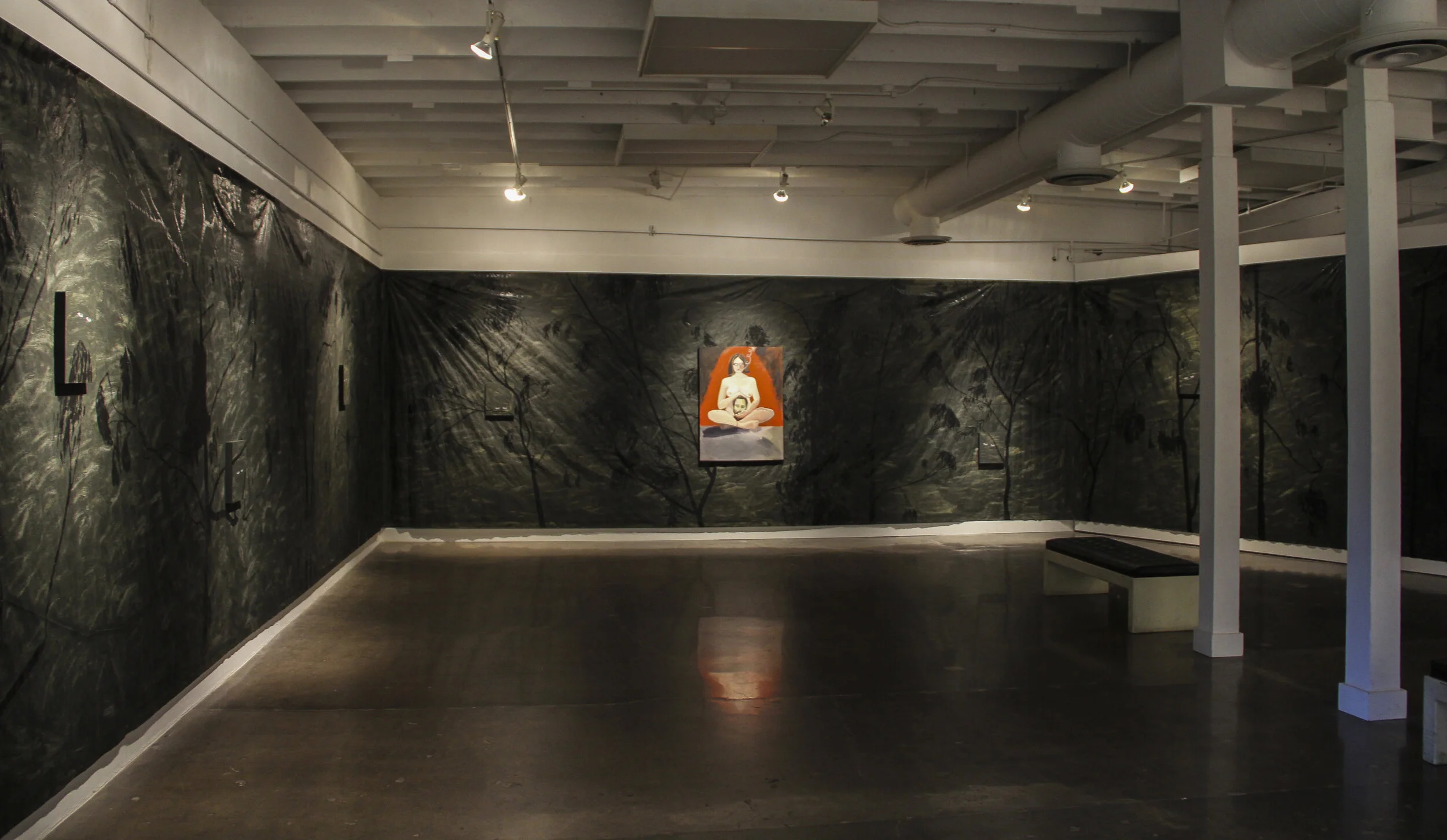 "Darkness Becomes You" Installation, 2016, CCS Gallery, Santa Barbara, CA