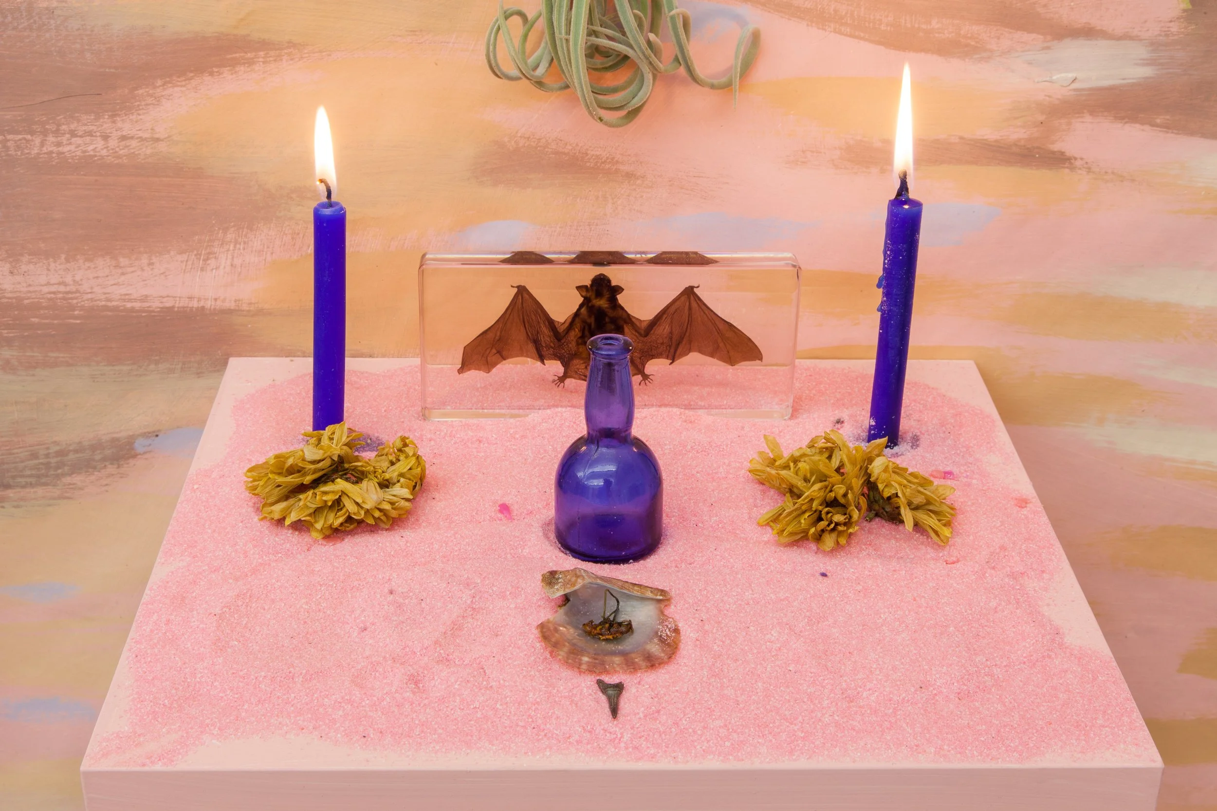 Altar for Bat Resurrection.jpg