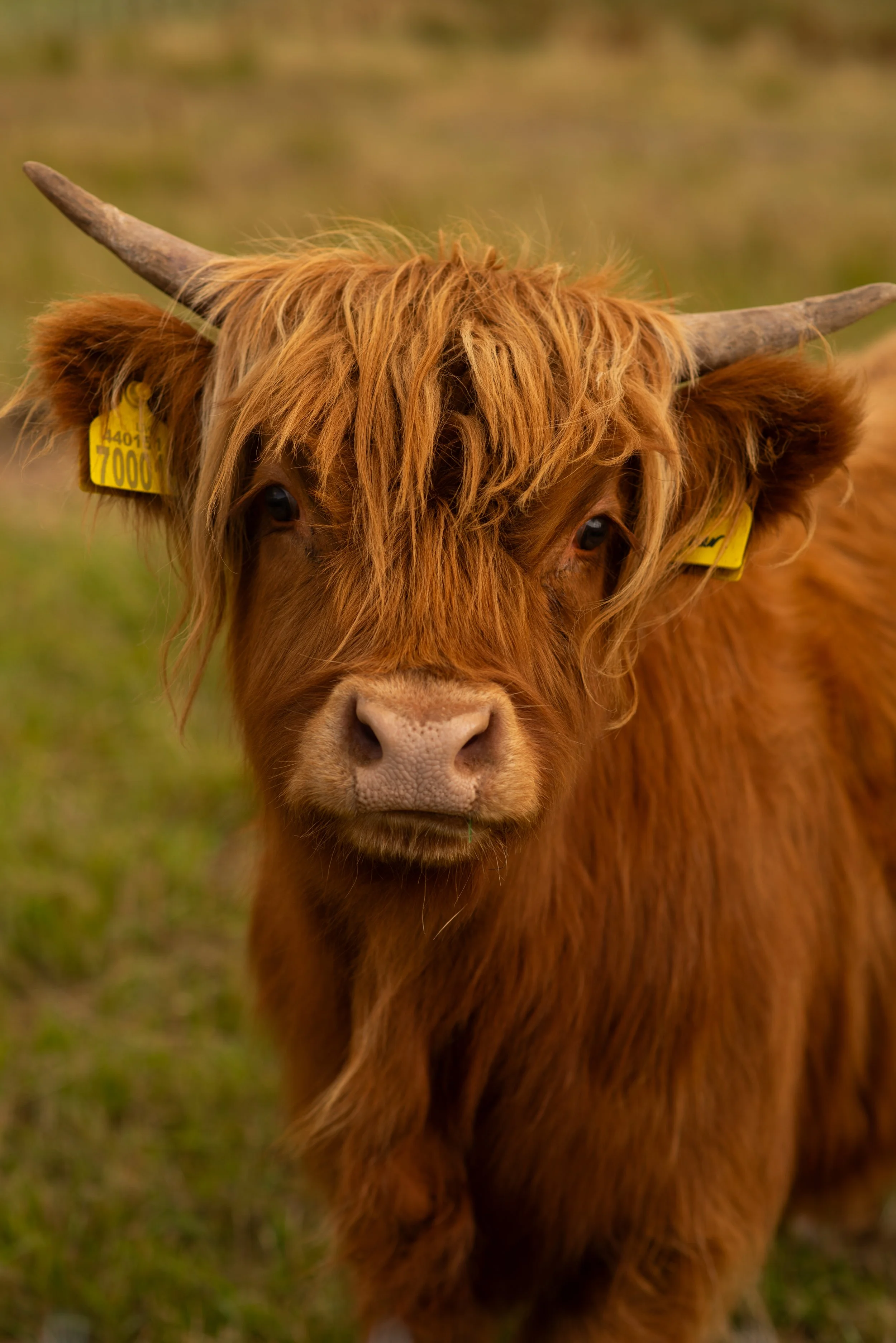 Haw (144).jpg