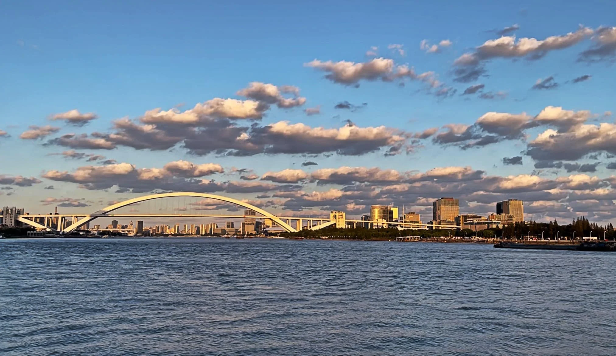 The Dying Days of Summer