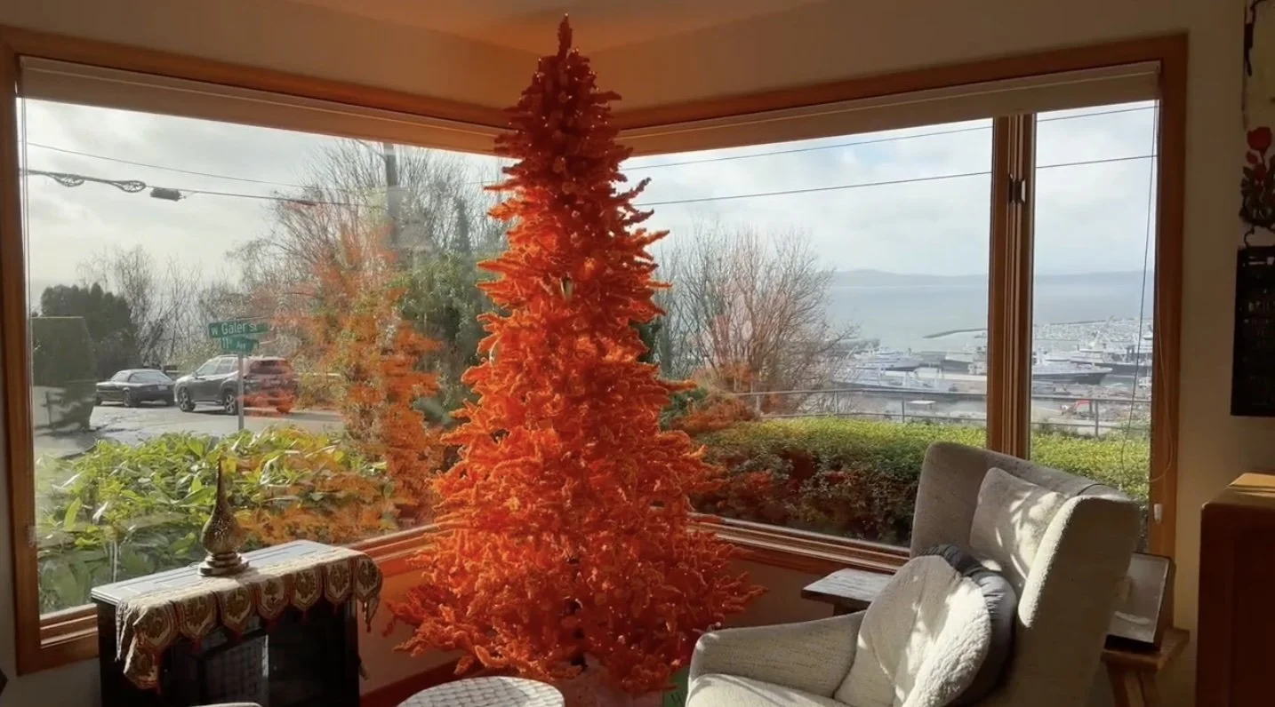 Shameless in Seattle