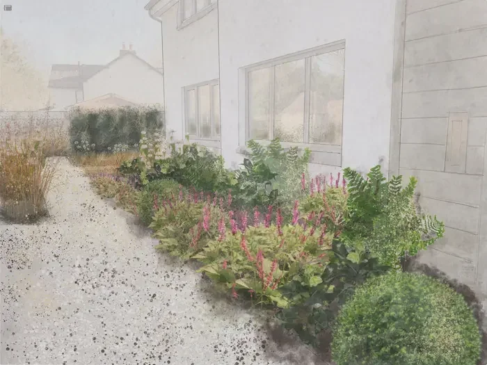Visualisation of planting plan by Anna Sissons garden design