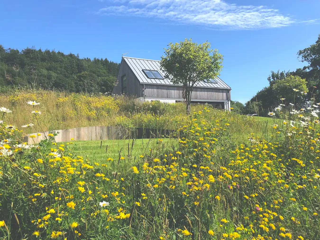 Refined ecological garden design in Dorset by Anna Sissons