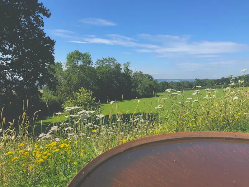 Anna Sissons garden design, sculptural water feature within wildflower meadow