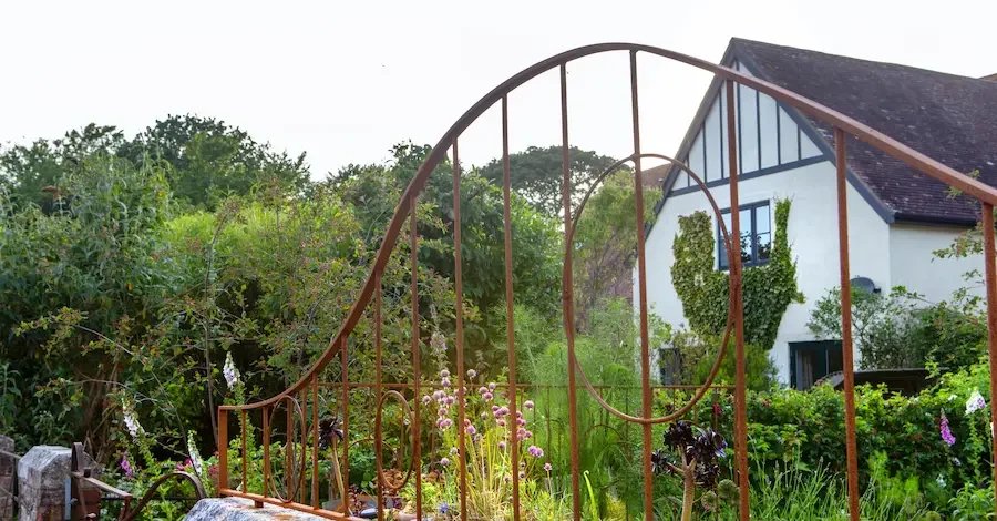 Wildlife garden in Devon designed by Anna Sissons
