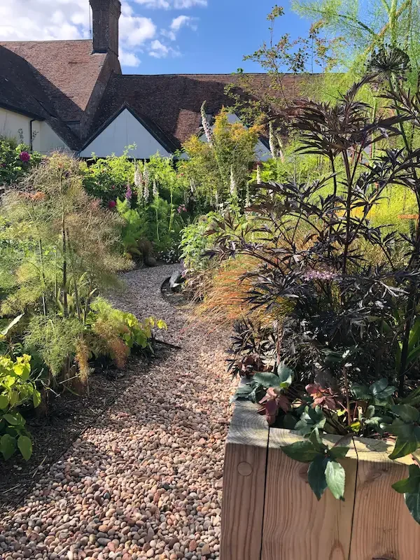 Wildlife garden in Devon designed by Anna Sissons