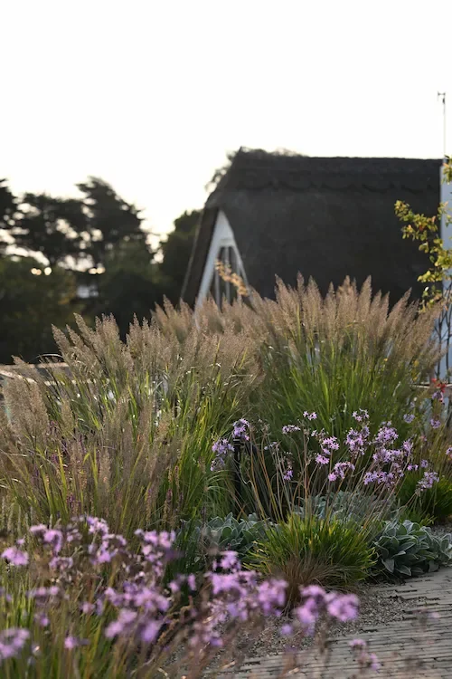 Autumn planting scheme for riverside project by Anna Sissons Garden Design