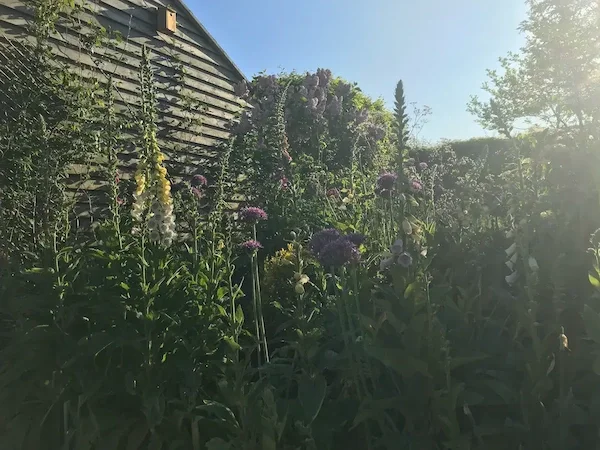 Cottage Style Planting Design by Anna Sissons