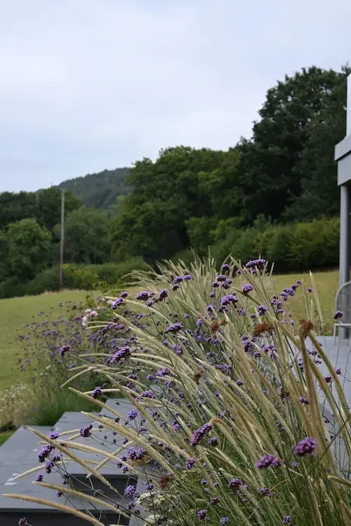 House beds in Anna Sissons Garden Design Sidmouth