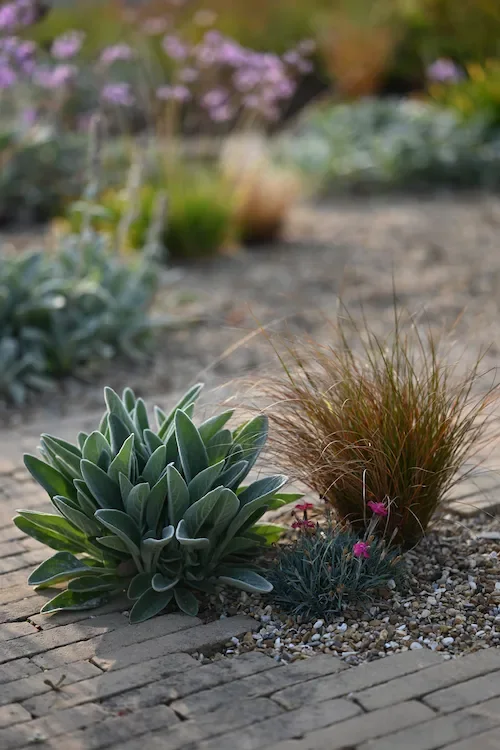 Gravel garden planting for riverside project by Anna Sissons Garden Design