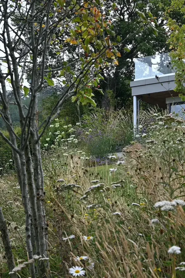 Anna Sissons Garden Design for design home Sidmouth