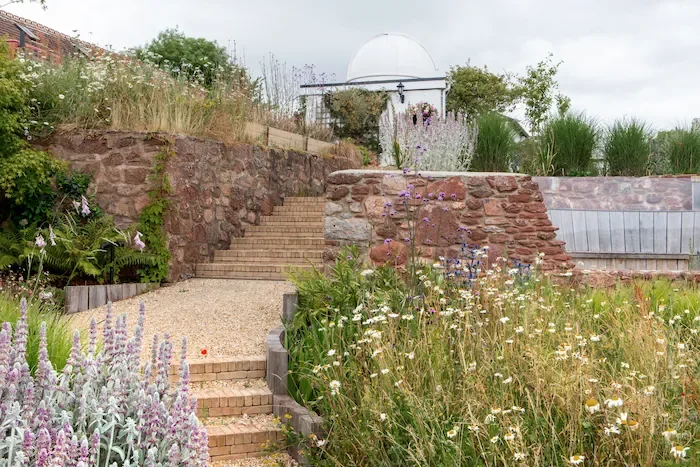 Steps through naturalistic planting by Anna Sissons Garden Design