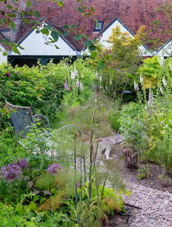 Wildlife garden in Devon designed by Anna Sissons