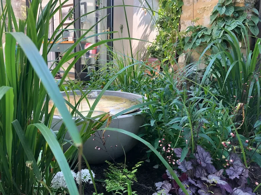 Beaminster garden by Anna Sissons Garden Design Garden design showing water feature and mixed planting