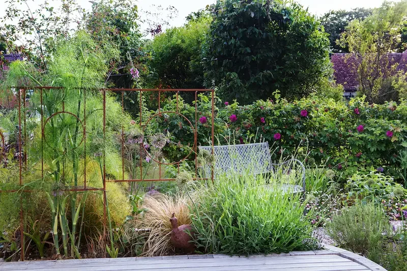 Anna Sissons garden redesign in Rousdon, Devon