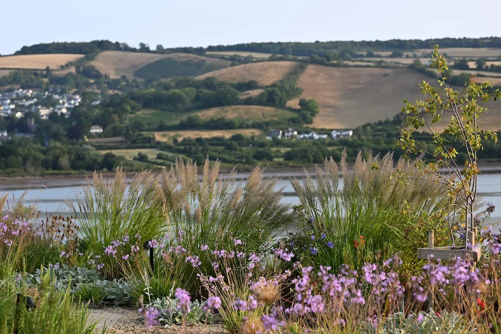 Devon riverside garden designed by Anna Sissons Garden Design