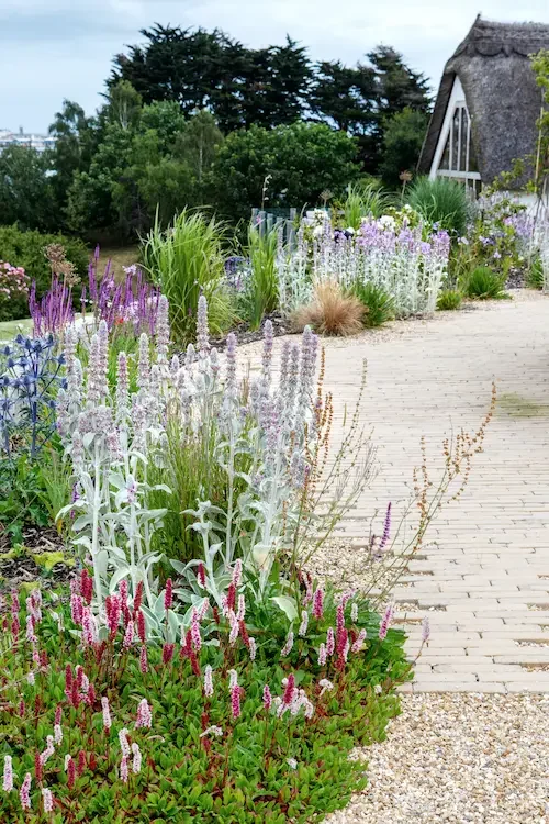 Coastal Planting by Anna Sissons Garden Design
