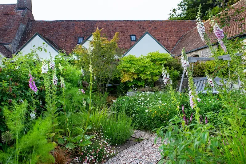 Wildlife garden in Devon designed by Anna Sissons