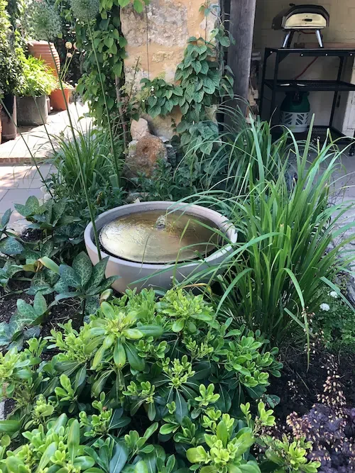 Beaminster garden by Anna Sissons Garden Design Garden design showing water feature and mixed planting