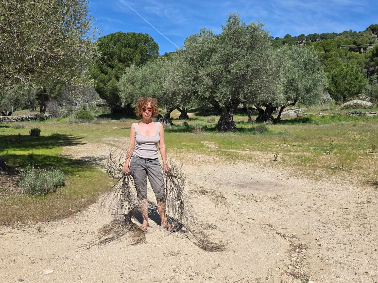 Between order and wildness