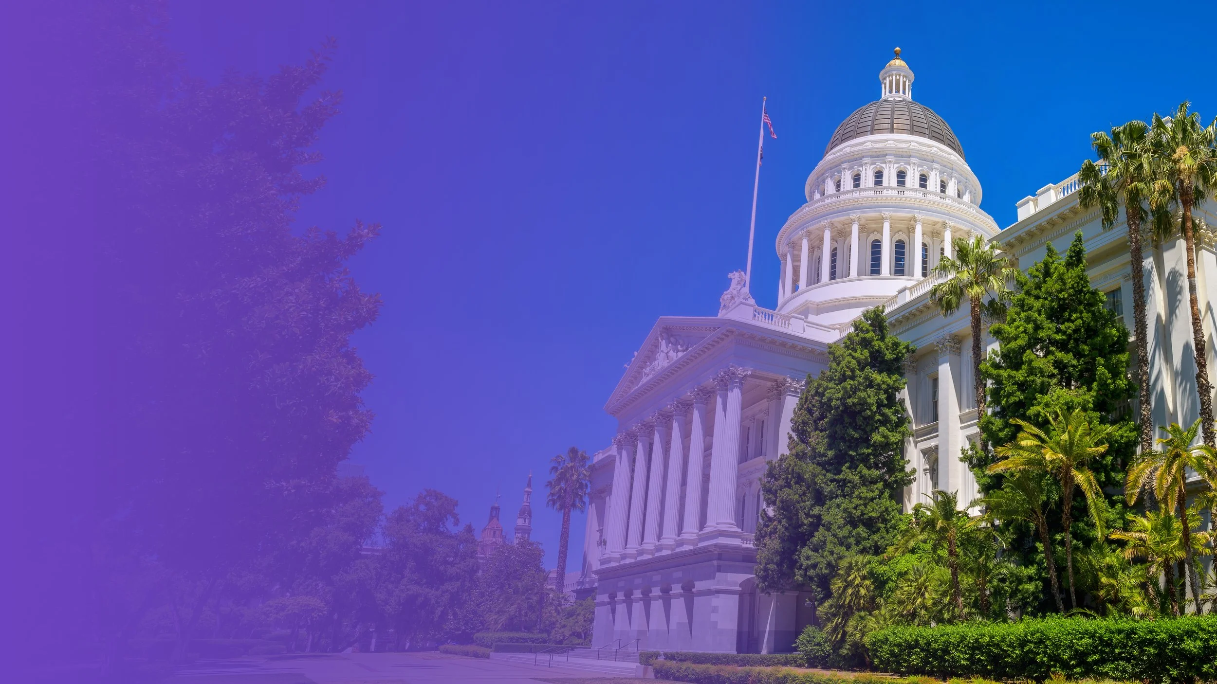 california-state-capitol-building-sunny-day-sacramento (2).jpg