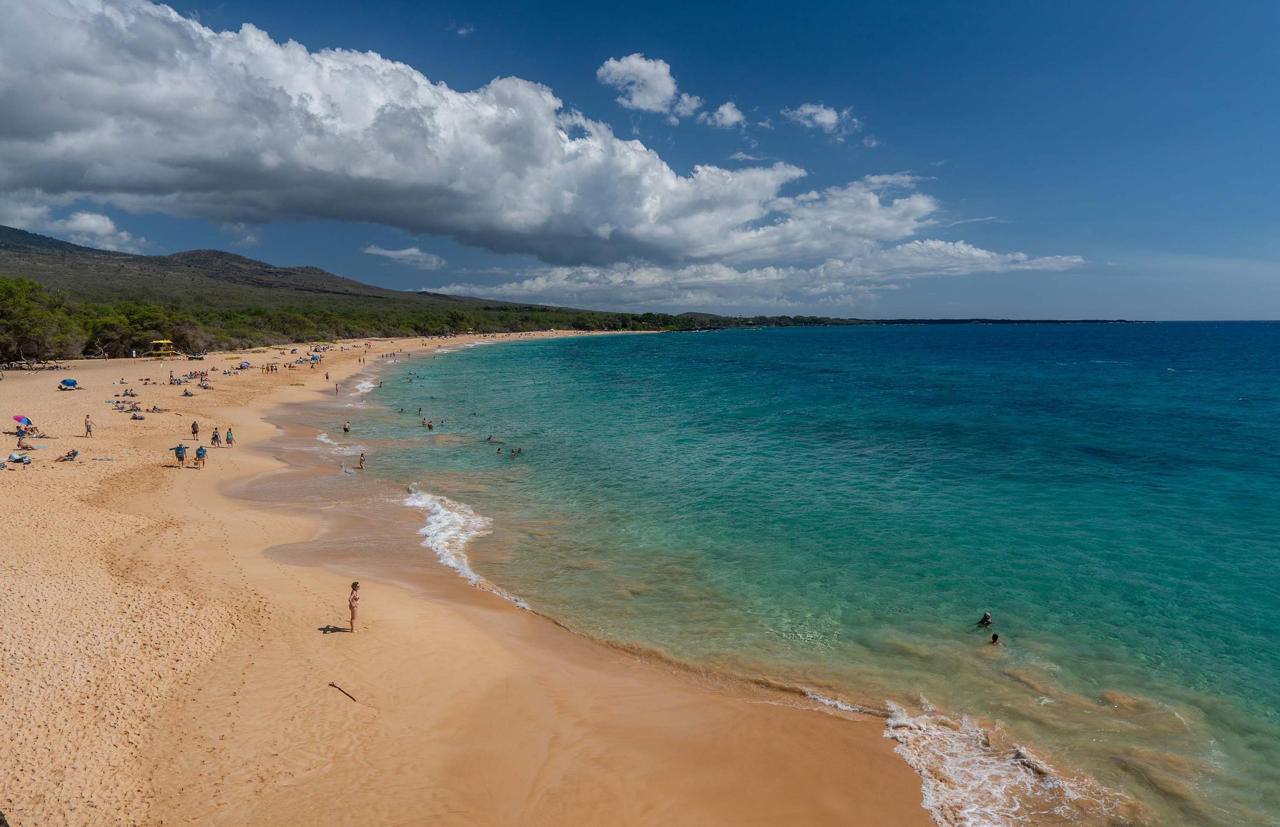 Maui 1.jpg