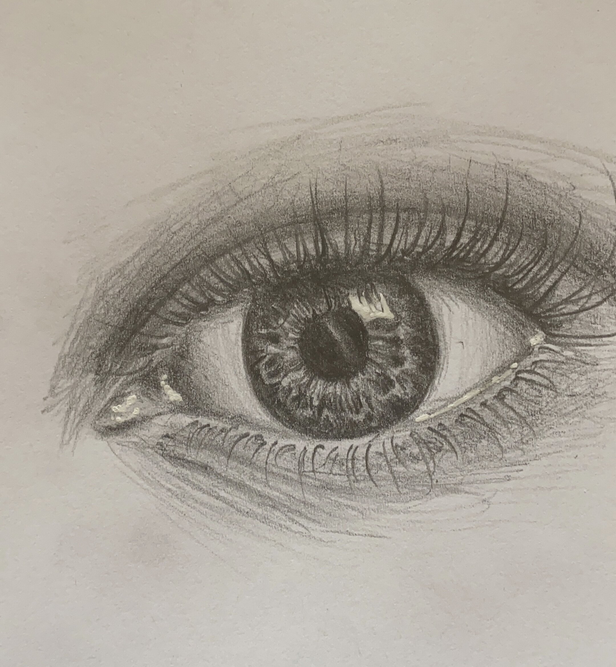 Eye