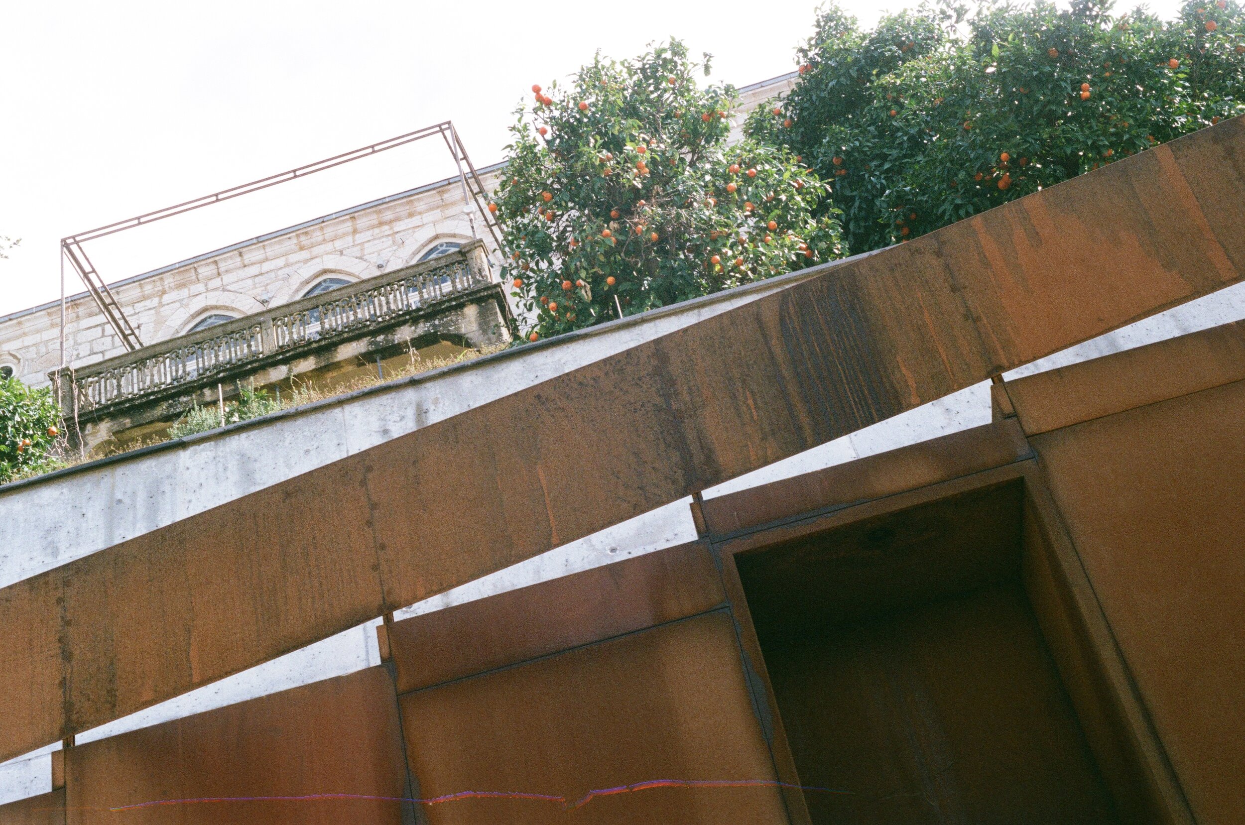 0019_17.jpg