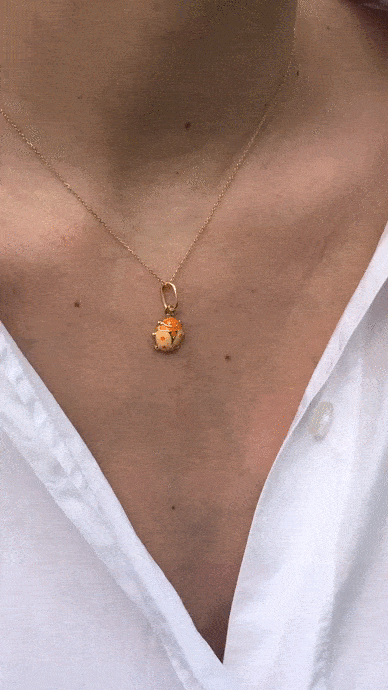 coccinnelle.gif