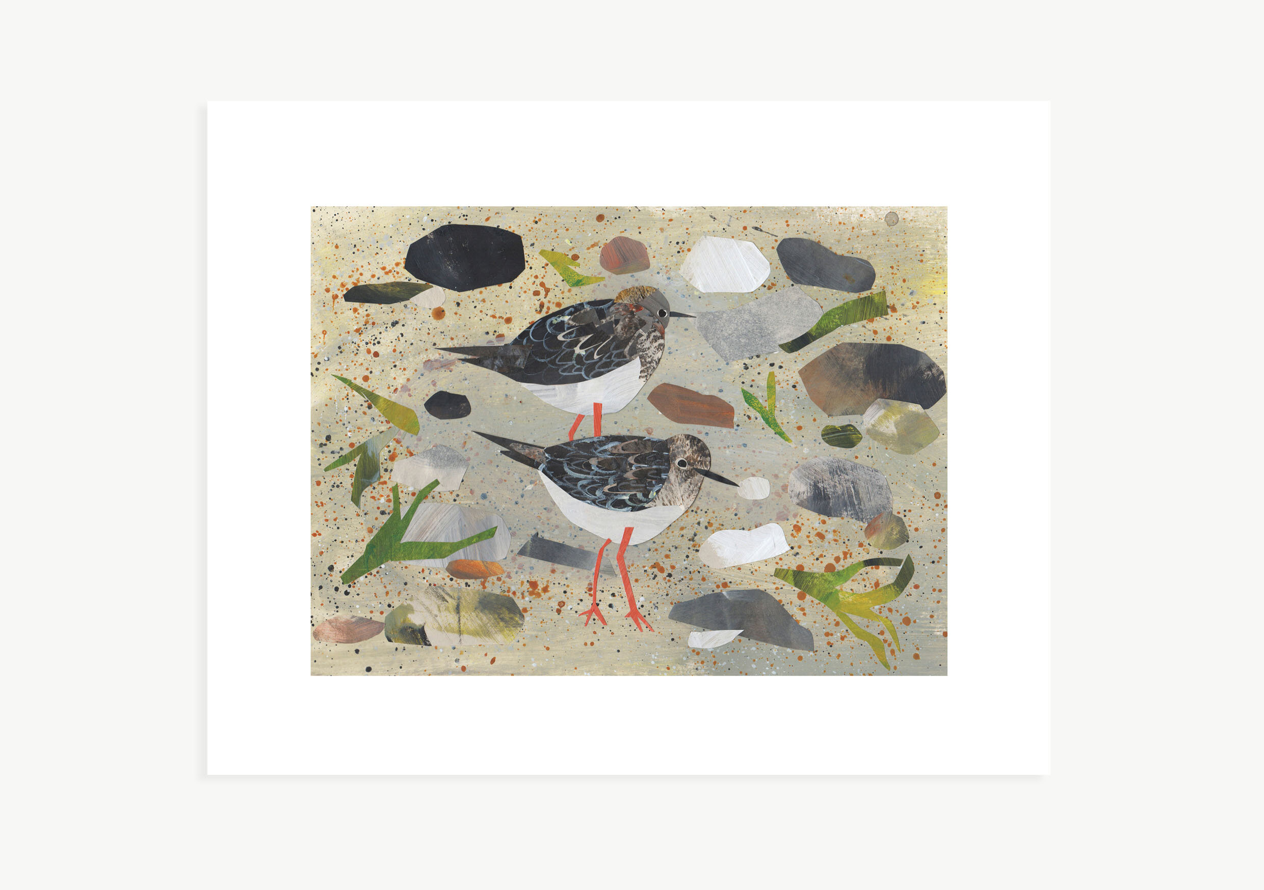 Turnstones 8x10 Giclée Print