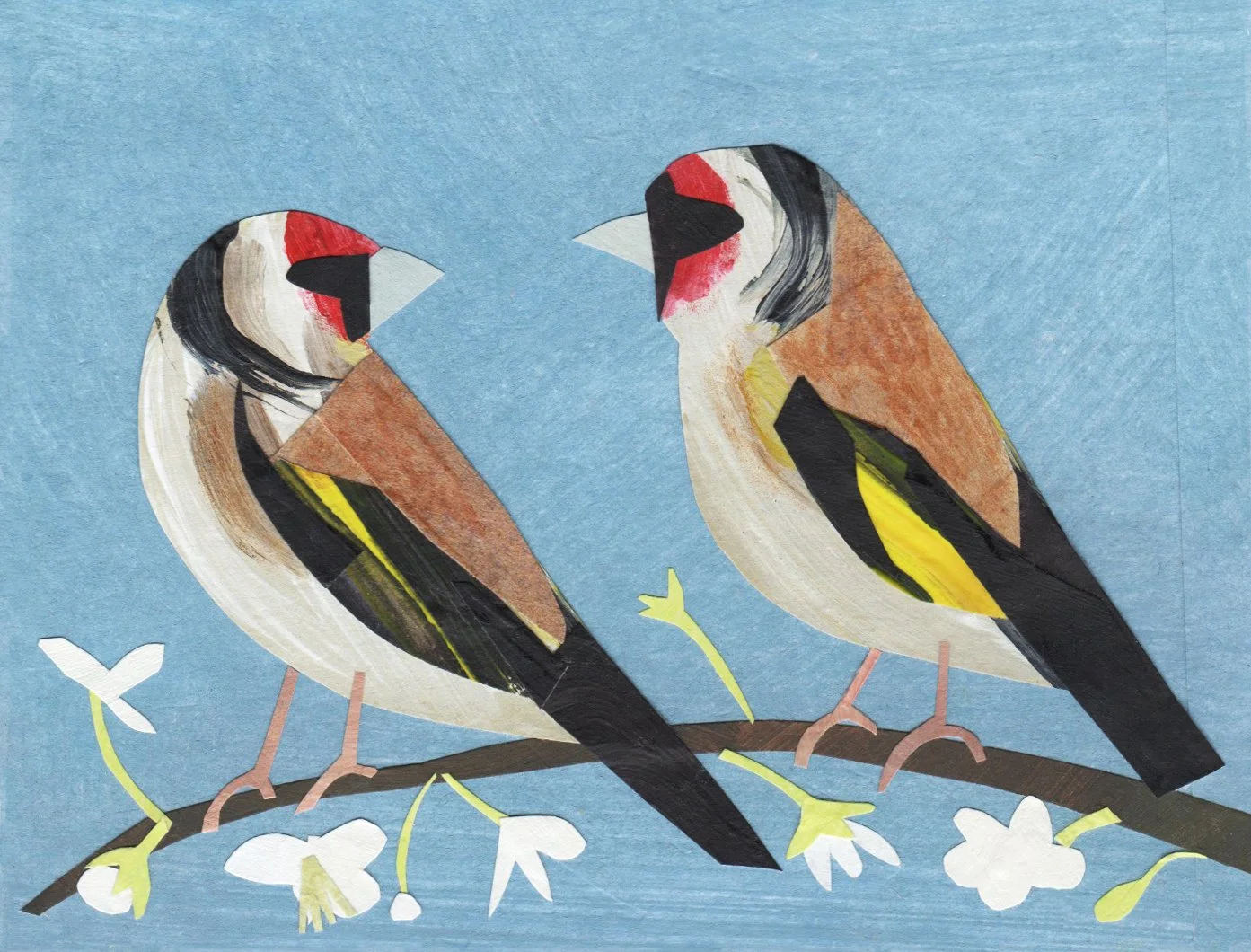 Clover Robin 7 300.jpg