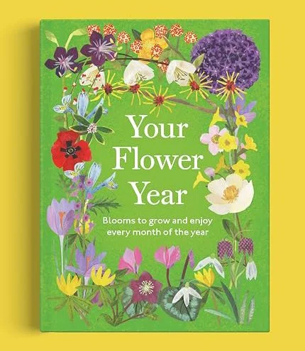YFY COVER.jpg