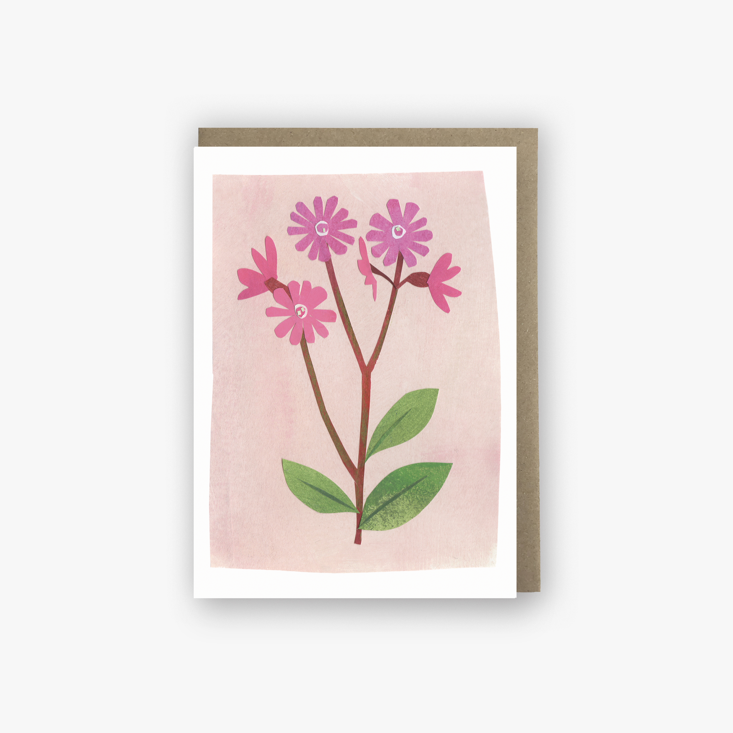 Red Campion card