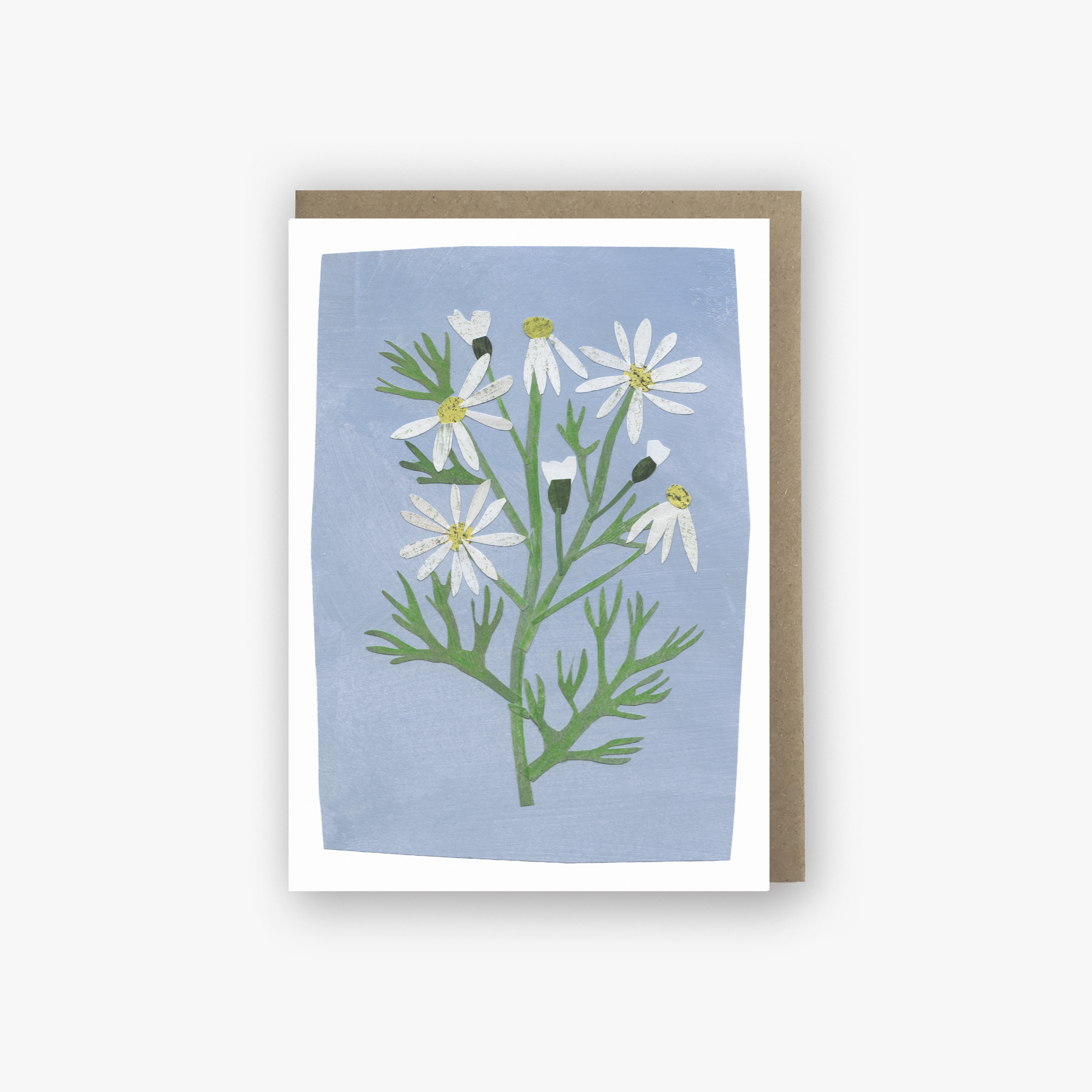 CHAMOMILE.png